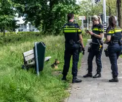 Hond achtergelaten na geweldsincident