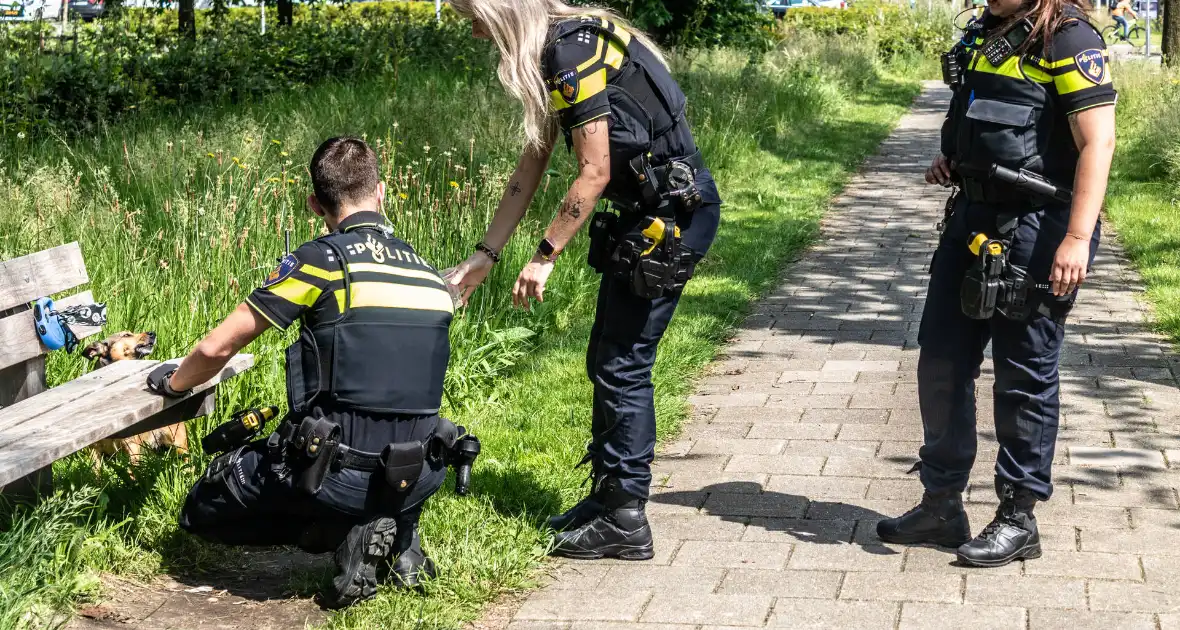 Hond achtergelaten na geweldsincident - Foto 1