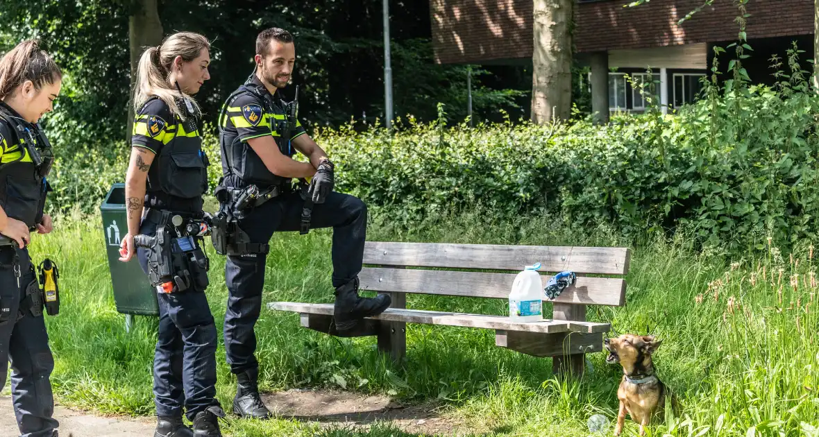 Hond achtergelaten na geweldsincident - Foto 6