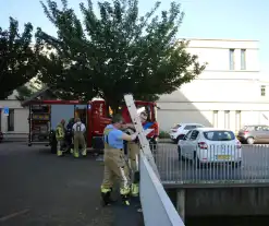 Brandweer bevrijdt kuiken van achter houten schot