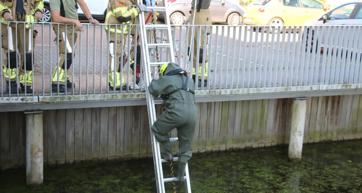 Brandweer bevrijdt kuiken van achter houten schot - Foto 3