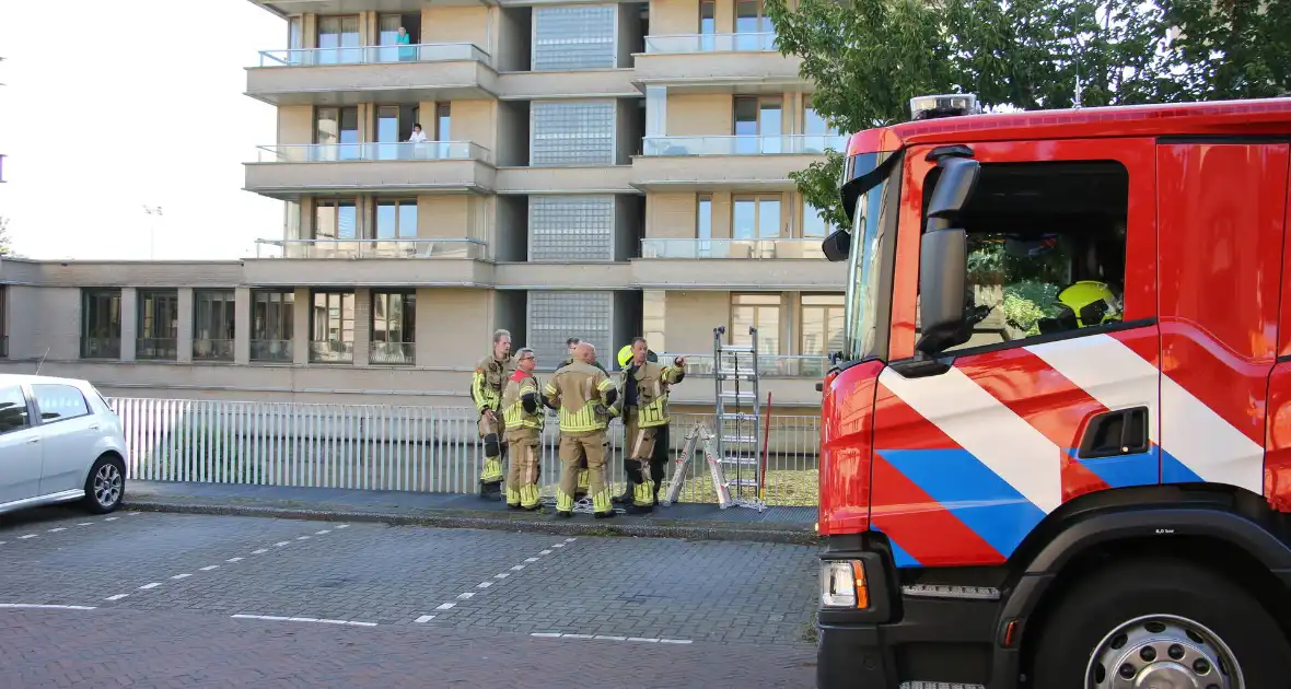 Brandweer bevrijdt kuiken van achter houten schot - Foto 4