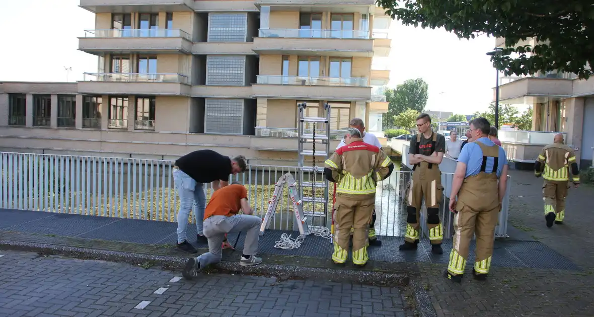 Brandweer bevrijdt kuiken van achter houten schot - Foto 6