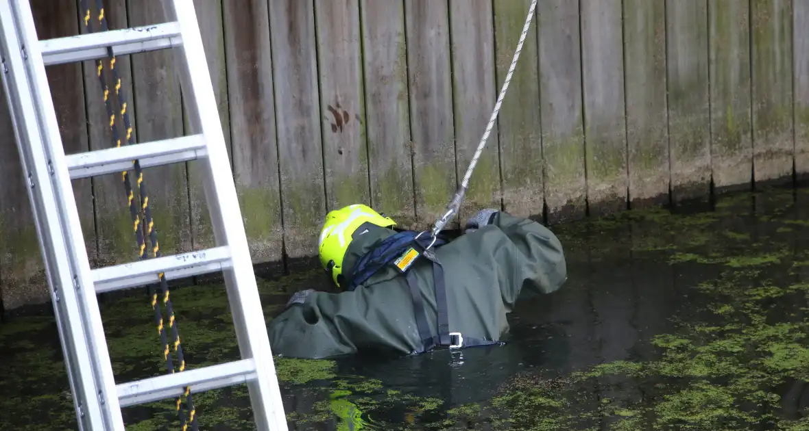 Brandweer bevrijdt kuiken van achter houten schot - Foto 8