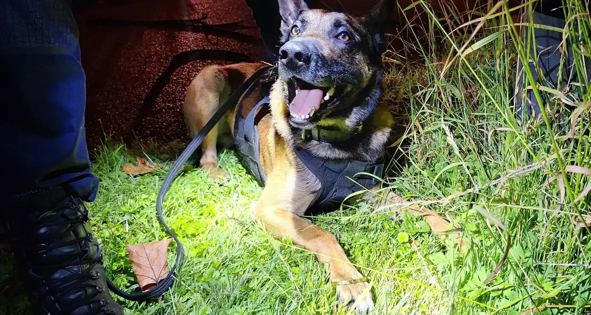 Politiehond Appie vind door omstander verloren armband terug - Foto 1