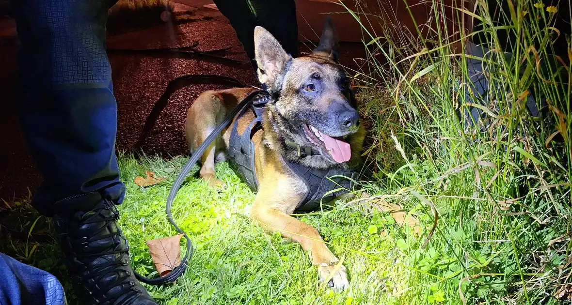 Politiehond Appie vind door omstander verloren armband terug - Foto 2
