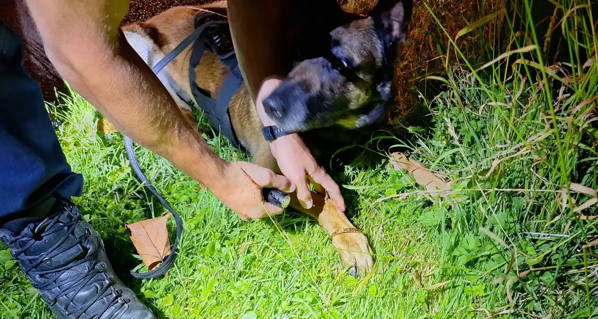 Politiehond Appie vind door omstander verloren armband terug - Foto 3
