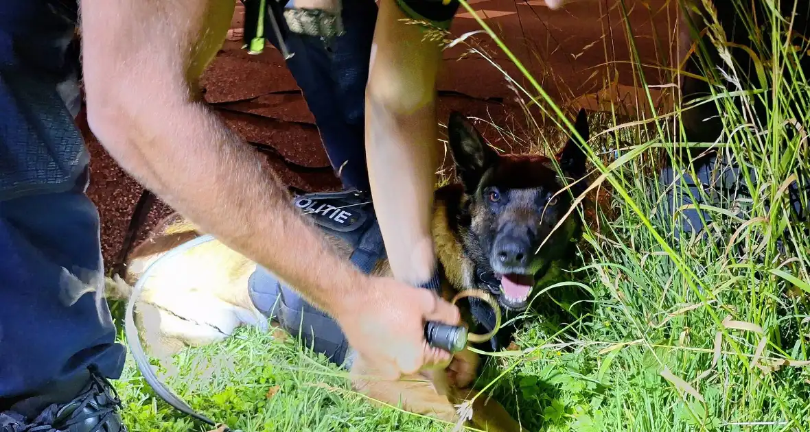 Politiehond Appie vind door omstander verloren armband terug - Foto 4