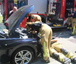 Brandweer bevrijdt vastzittende kat