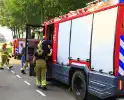 Brandweer redt ree en laat hem elder vrij