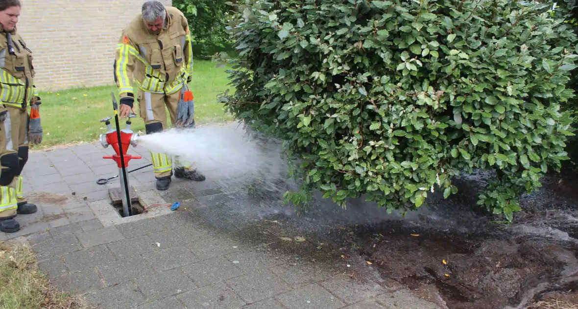 Brandweer blust buitenbrand met water uit brandkraan - Foto 4