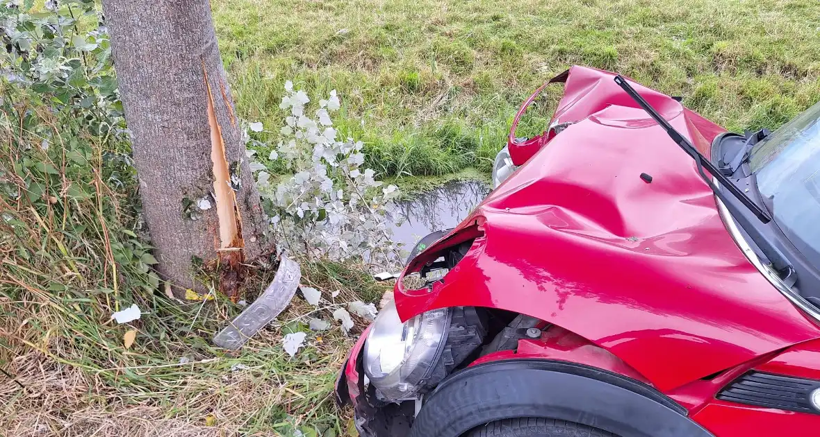 Automobilist verliest macht over stuur en klapt op boom - Foto 1