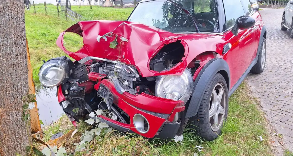 Automobilist verliest macht over stuur en klapt op boom - Foto 4