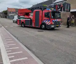 Brandweer druk met vogel die vastzit in bak van rolluik