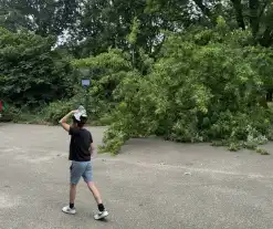 Grote tak breekt van boom en belandt op kind