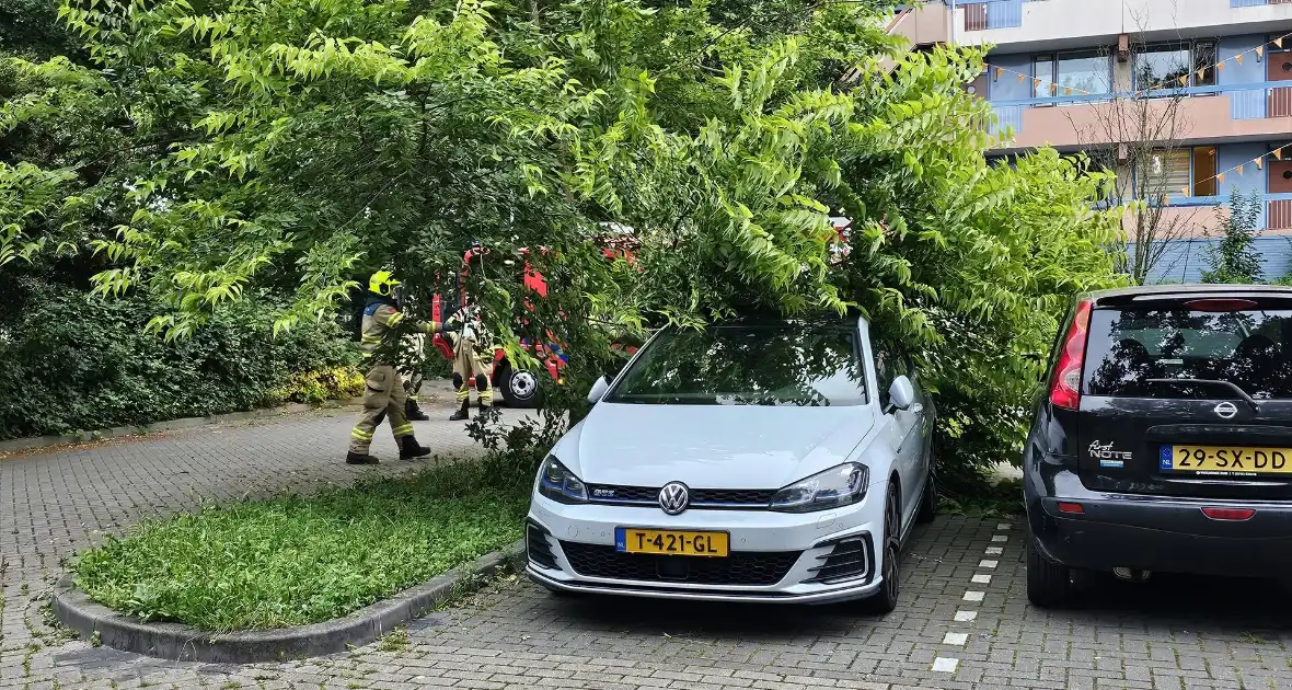 Grote tak valt uit boom op auto