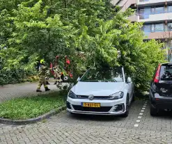 Grote tak valt uit boom op auto