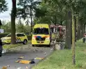 Ravage nadat vrachtwagen tegen boom klapt