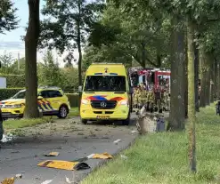 Ravage nadat vrachtwagen tegen boom klapt