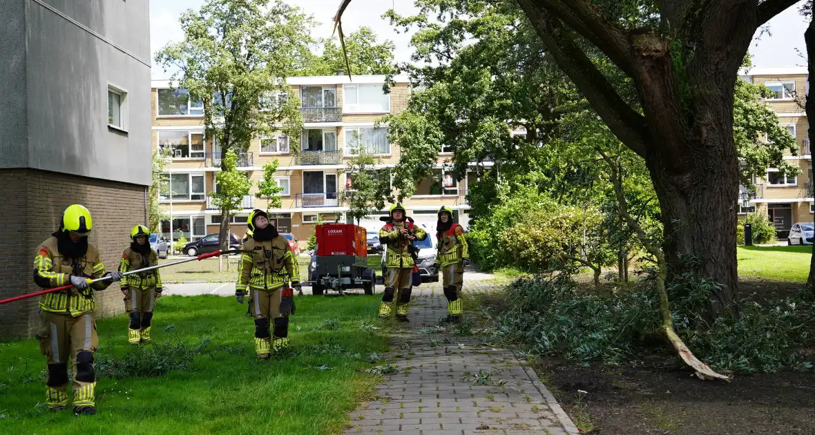 Grote tak breekt af en komt boven voetpad te hangen