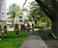 Grote tak breekt af en komt boven voetpad te hangen