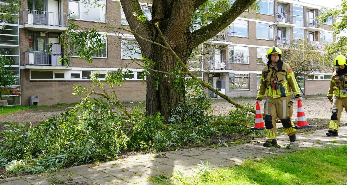 Grote tak breekt af en komt boven voetpad te hangen - Foto 1