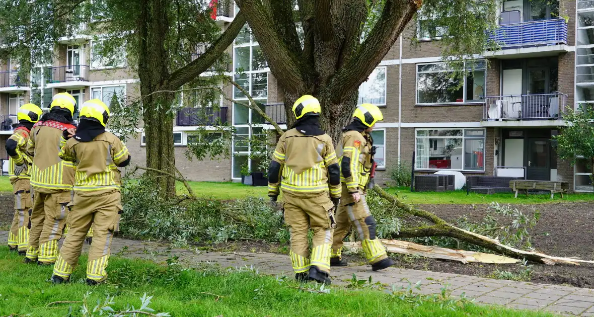 Grote tak breekt af en komt boven voetpad te hangen - Foto 2