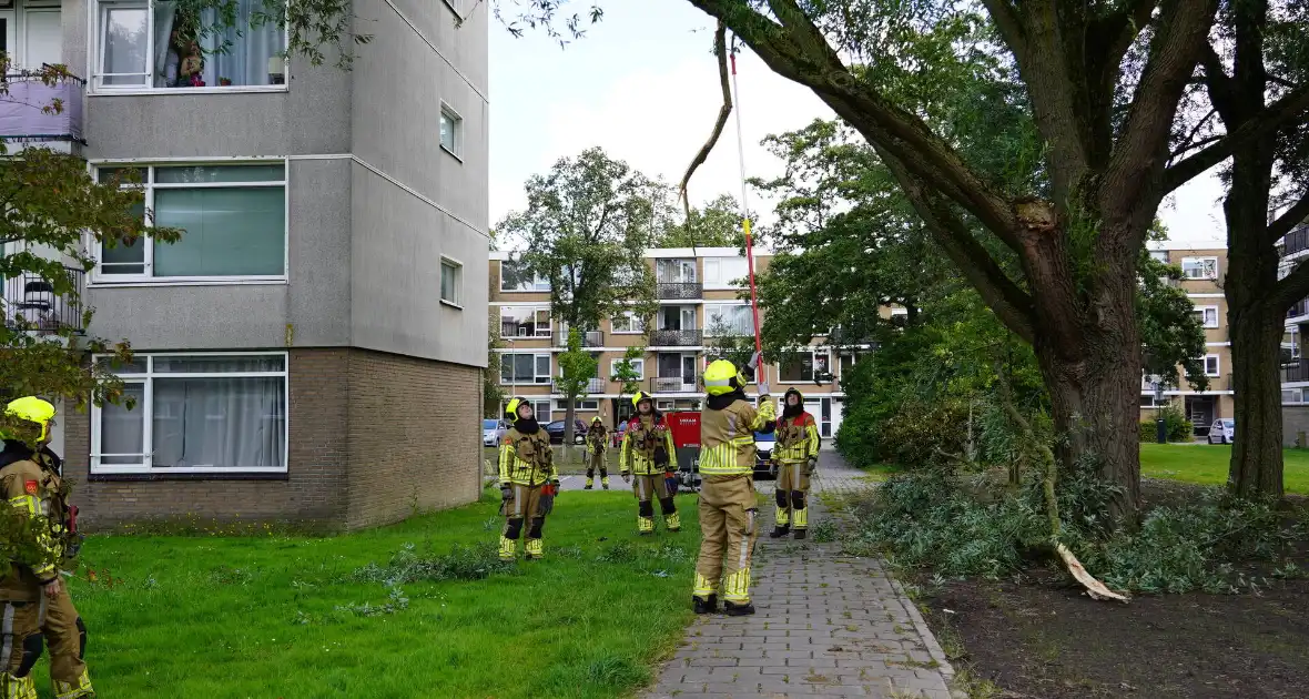 Grote tak breekt af en komt boven voetpad te hangen - Foto 5