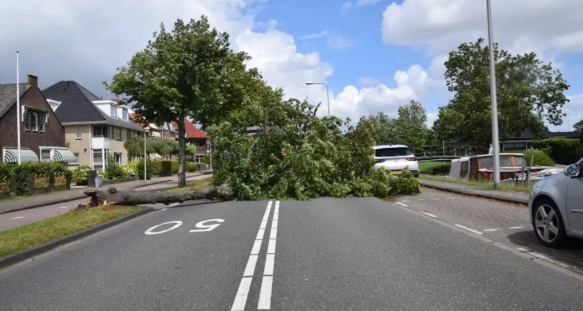 Grote boom belandt op weg tijdens storm