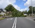Grote boom belandt op weg tijdens storm