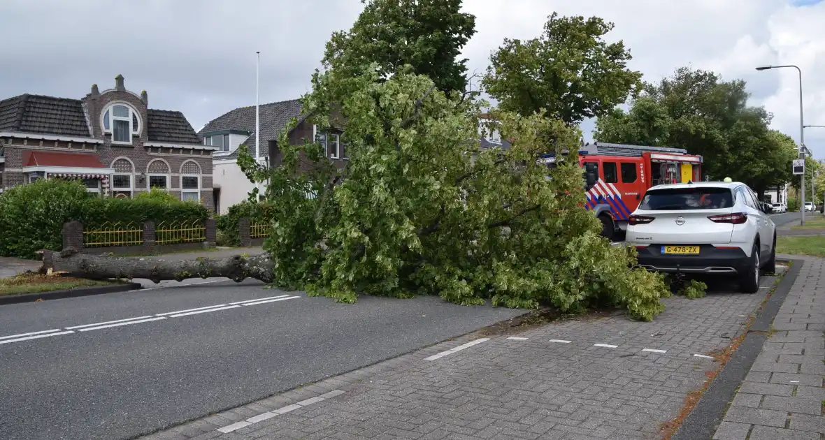 Grote boom belandt op weg tijdens storm - Foto 1