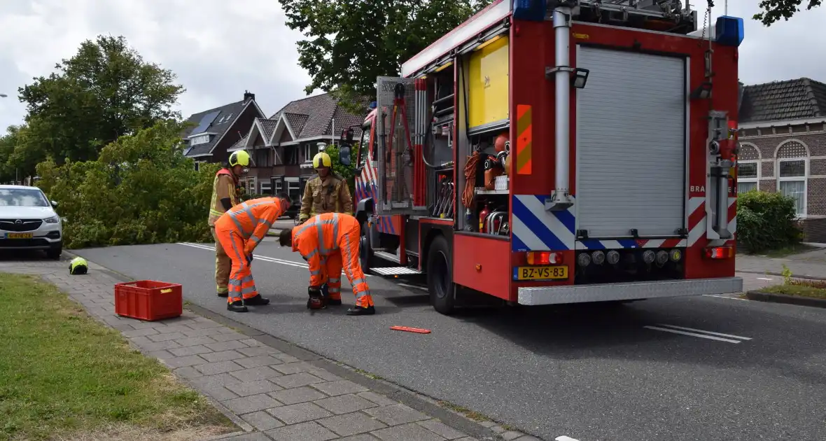 Grote boom belandt op weg tijdens storm - Foto 3