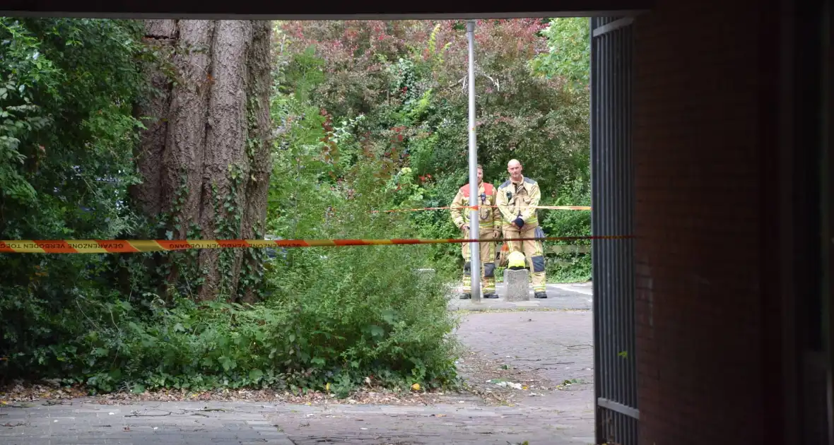 Grote boom dreigt om te vallen door storm - Foto 3