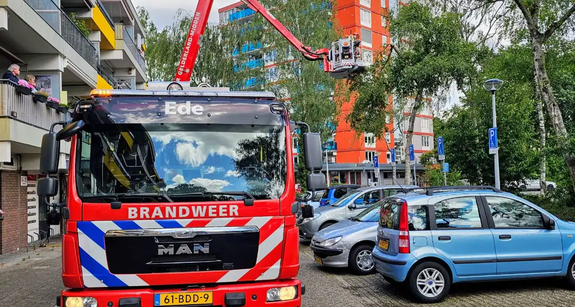 Brandweer zaagt gevaarlijk loshangende tak uit boom