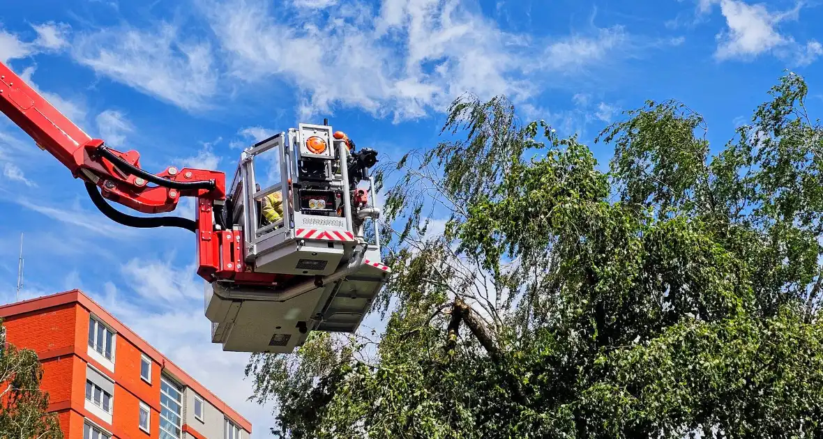 Brandweer zaagt gevaarlijk loshangende tak uit boom - Foto 2