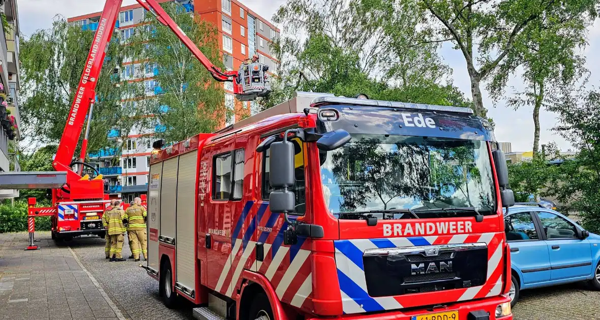 Brandweer zaagt gevaarlijk loshangende tak uit boom - Foto 3