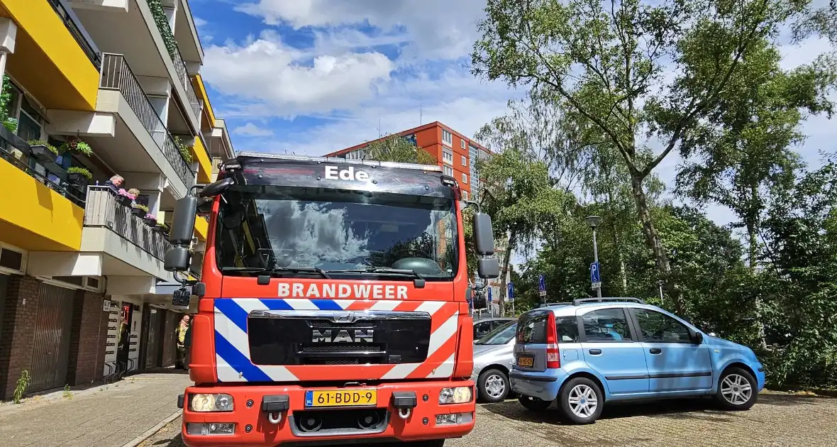 Brandweer zaagt gevaarlijk loshangende tak uit boom - Foto 4