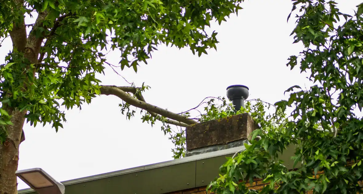 Brandweer verwijdert losgewaaide tak van dak - Foto 1