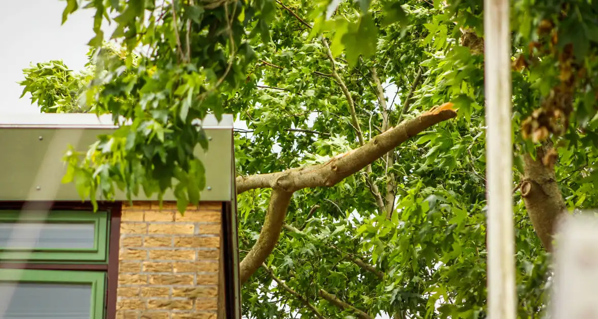 Brandweer verwijdert losgewaaide tak van dak - Foto 2