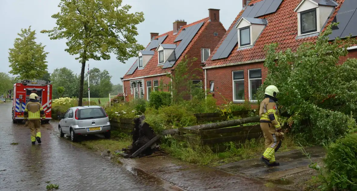 Boom dreigt om te vallen - Foto 3