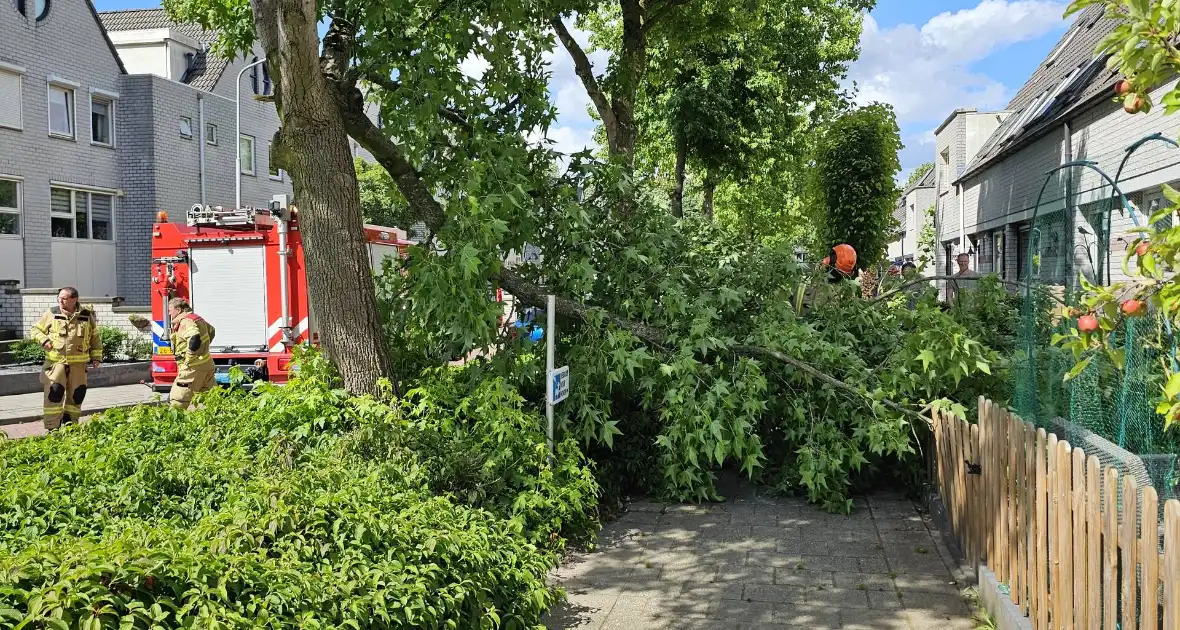 Brandweer zaagt afgewaaide tak in stukken