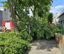 Brandweer zaagt afgewaaide tak in stukken