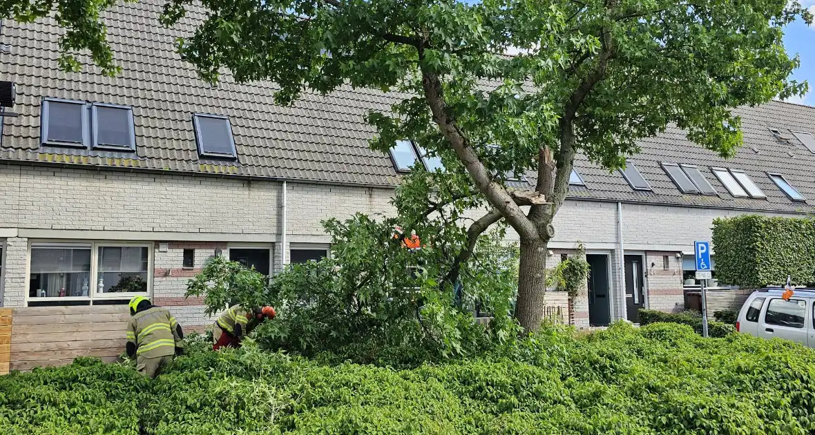 Brandweer zaagt afgewaaide tak in stukken - Foto 2