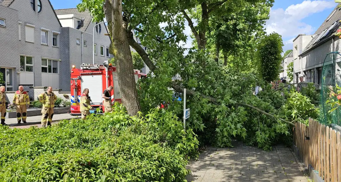 Brandweer zaagt afgewaaide tak in stukken - Foto 4