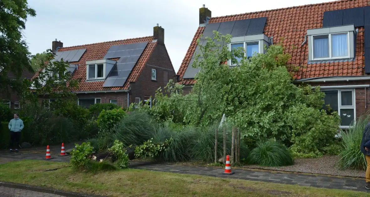 Omgewaaide boom valt tegen woning - Foto 1