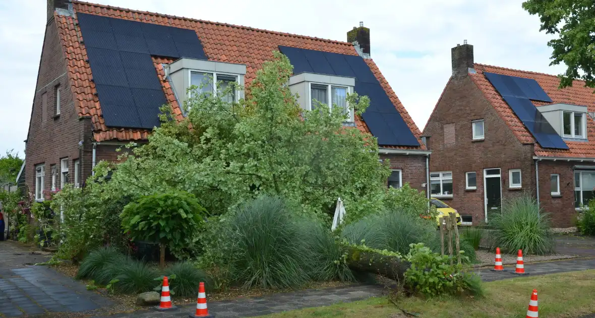 Omgewaaide boom valt tegen woning - Foto 2