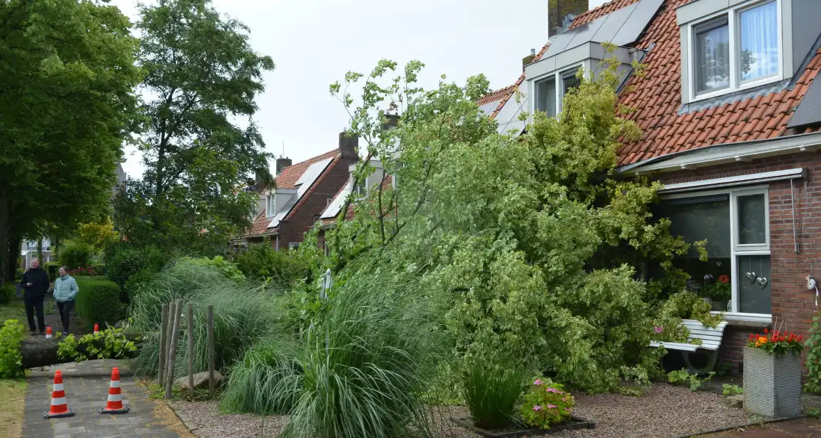 Omgewaaide boom valt tegen woning - Foto 3