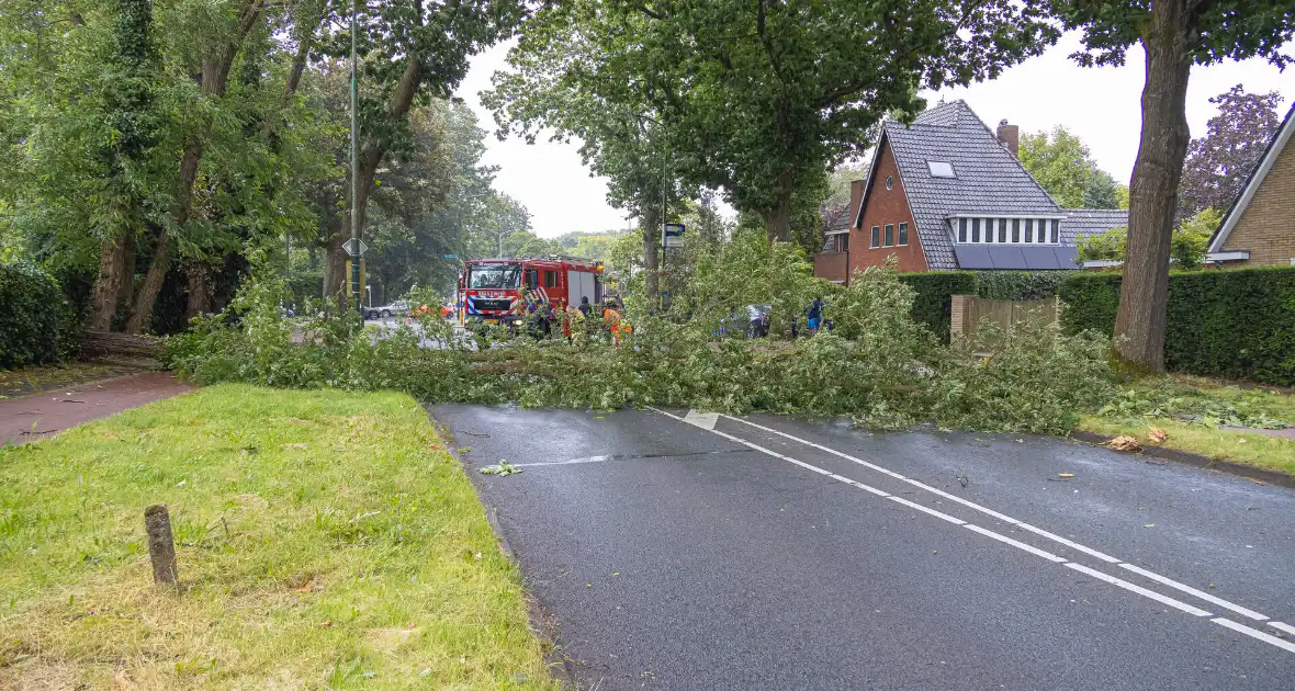 Boom belandt op provinciale weg