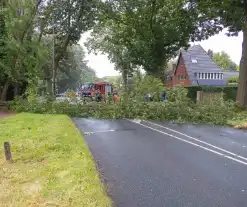 Boom belandt op provinciale weg