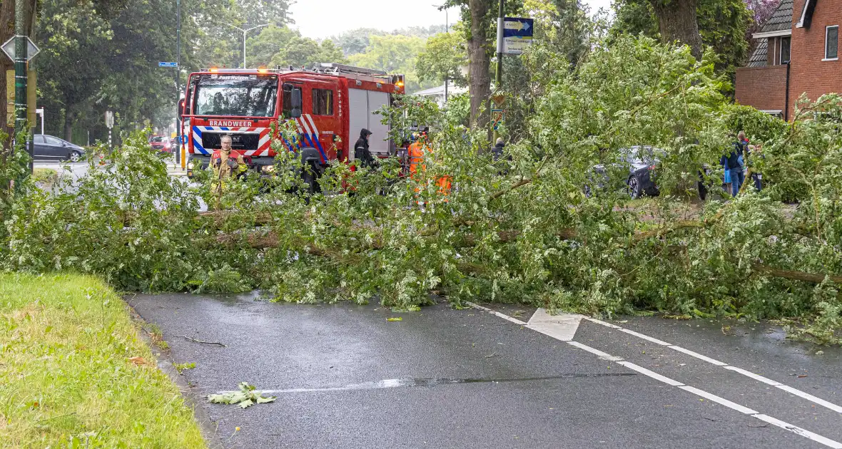 Boom belandt op provinciale weg - Foto 1